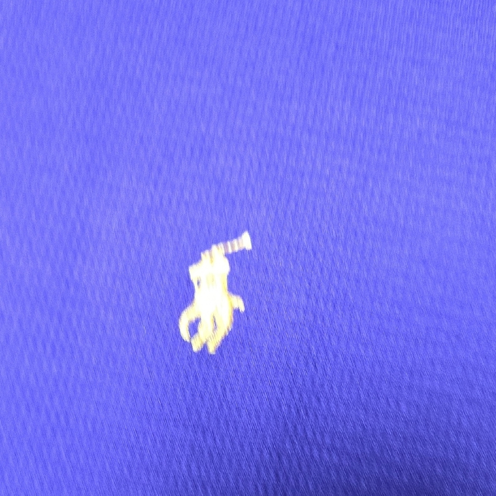 Polo by Ralph Lauren Vibrant Purple Long Sleeve Tee,sz L. - Picture 4 of 5